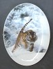 Tiger in the Snow