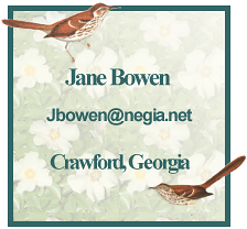 Jane Bowen