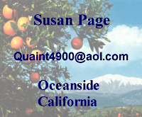 Susan Page