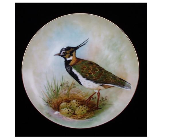 Lapwing Painted by Patricia Burt