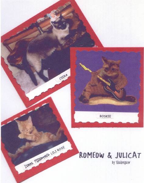 Romeow and Julicat Book